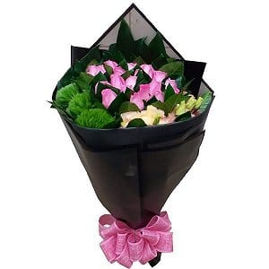 �¯ȥ]���A��� - �W�S��c�]�p black-paper-006