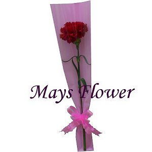 ���˸`������x mothers-day-flower-2675