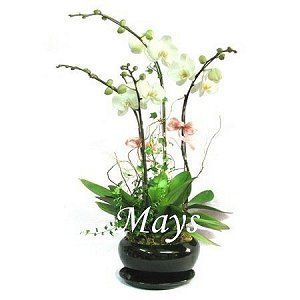 Father's Day Gifts  fathers-day-gift-4313