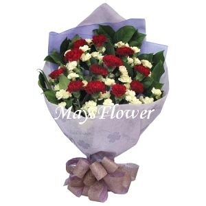 �d�D�ɪ��  carnation-bouquet-0309