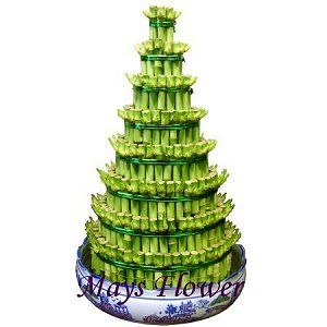 Green Plant Rich Bamboo plants0012