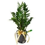 fathers-day-gift-4313