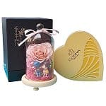 y-valentines-flower-2670