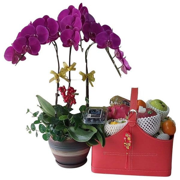 New Year Hamper - 152-plants