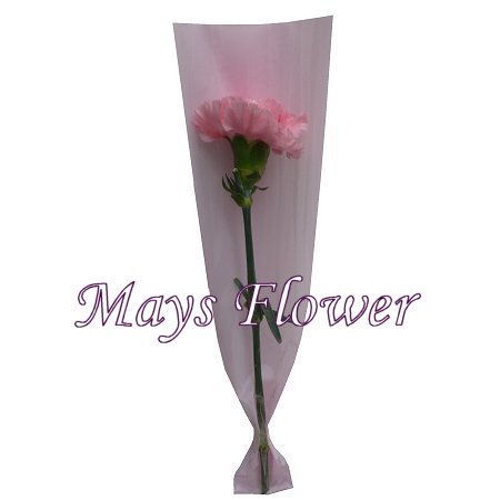 ���˸`��� - mothers-day-flower-2673