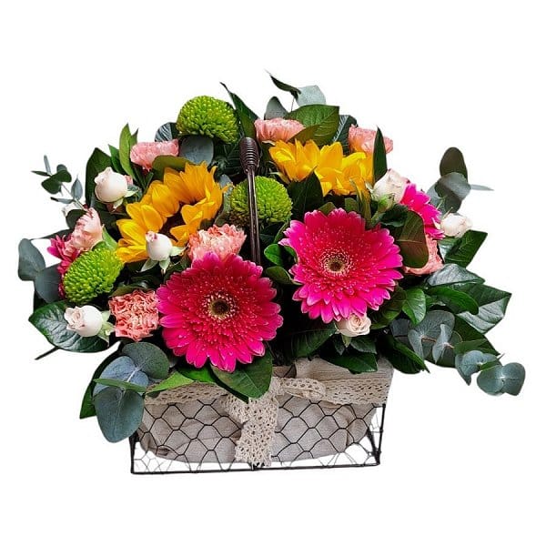 Mother's Day Flower - mothers-day-flower-2626