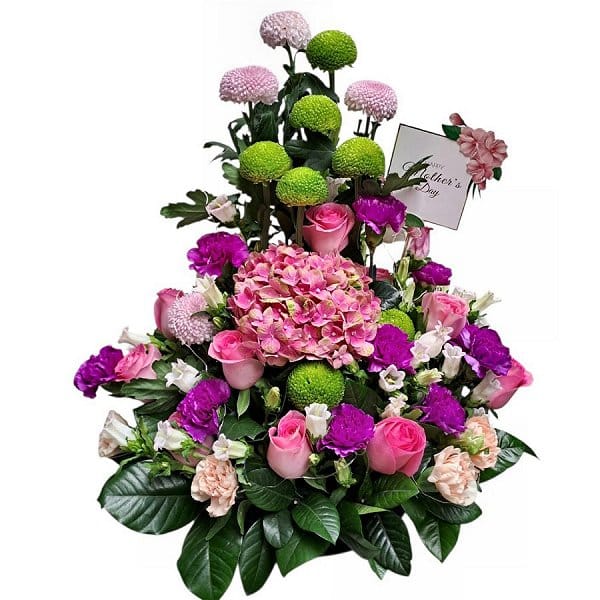 Mother's Day Flower - mothers-day-flower-2627