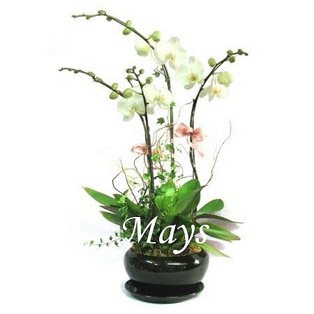Father's Day Gift - fathers-day-gift-4313