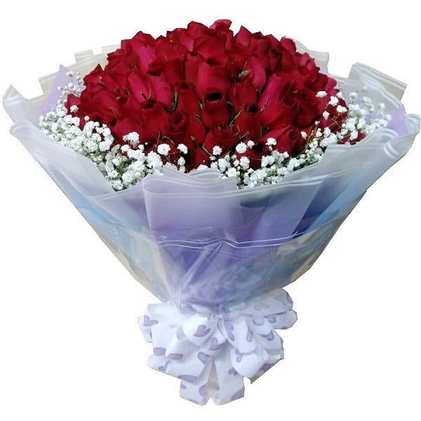 Valentine's Day Flower - valentines-flower-2665
