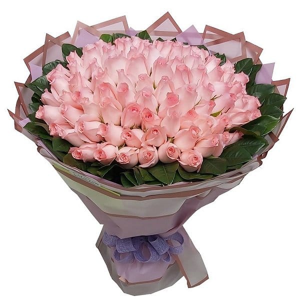 Valentine's Day Flower - valentines-flower-2666