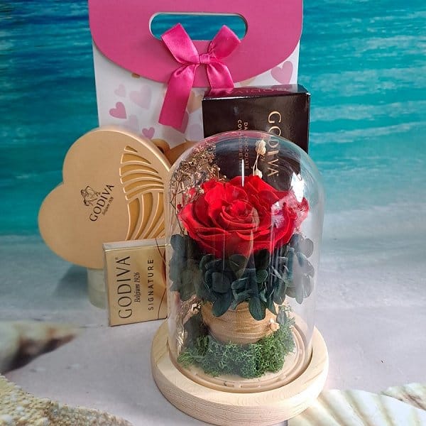 Valentine's Day Flower - white-day-2372