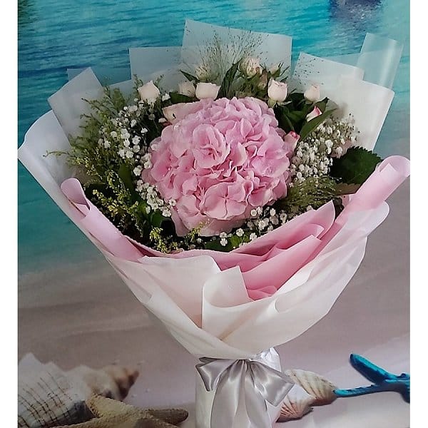 Valentine's Day Flower - valentines-flower-2691