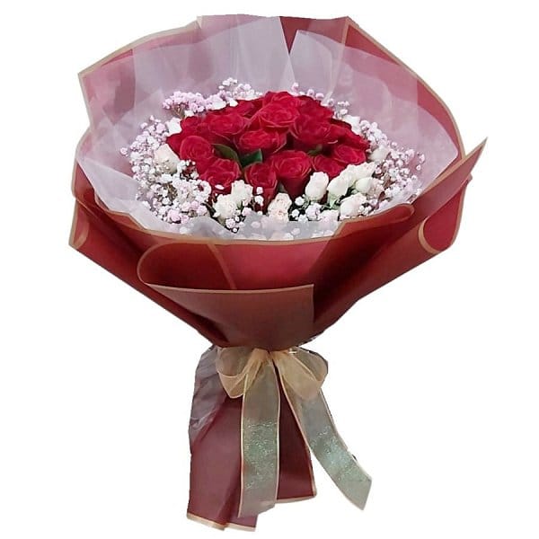 Valentine's Day Flower - valentines-flower-2632